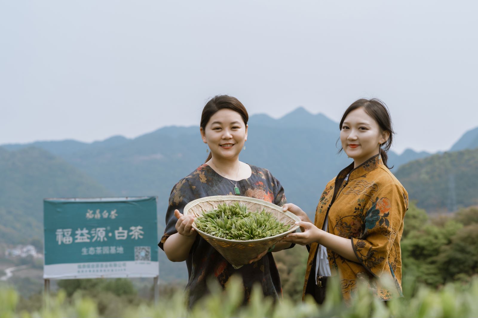 福益源▪太姥星